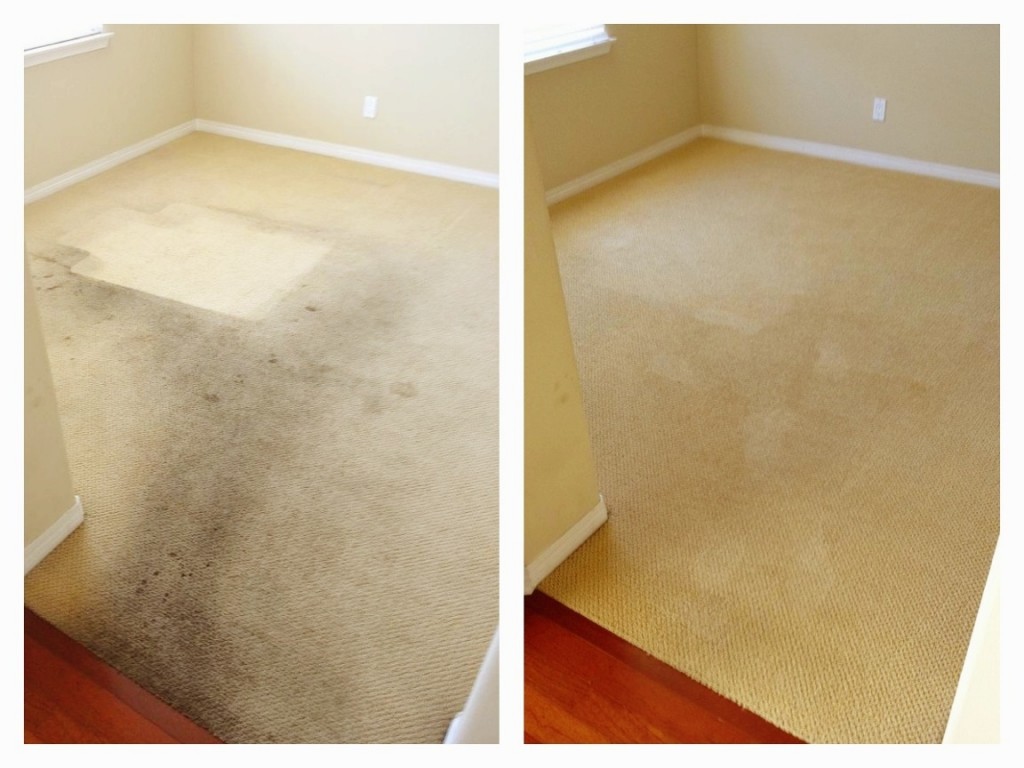 choosing a professional carpet cleaning service