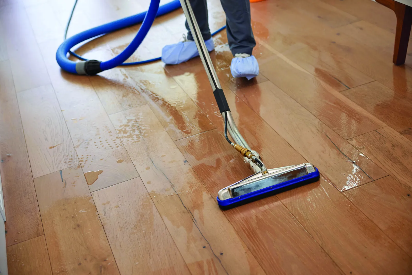 cleaning hardwood floors with professional floor cleaner