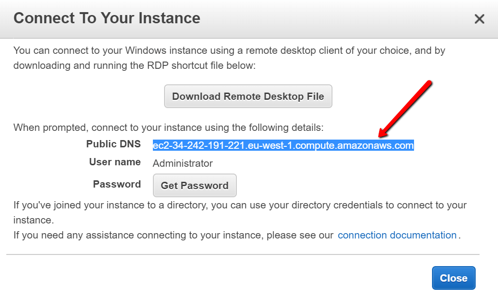 Copy Public DNS