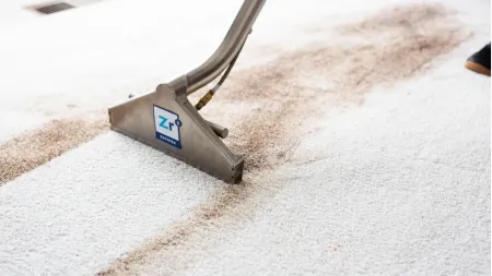 a close-up of a carpet wand